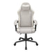 EAN 4711649770983 - COUGAR CGR-FXF-ASW Silla para videojuegos universal Asiento acolchado Ceniza imagen 1