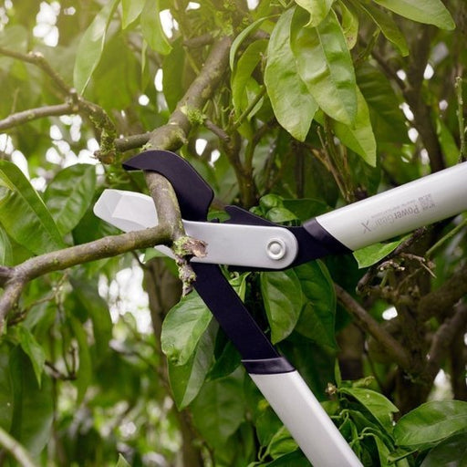 EAN 6411501123909 - Fiskars 1020187 tijera podadora Podadora con corte bypass imagen 2