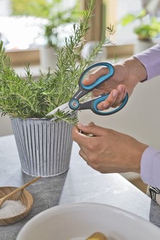 EAN 4066407003200 - Gardena HerbCut tijeras de podar Evitar Verde imagen 4
