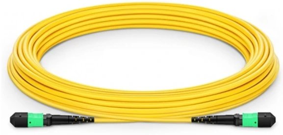 EAN 7290110490423 - Nvidia MFP7E30-N010 Cable de fibra óptica e InfiniBand 10 m MPO OFNR Amarillo imagen 1