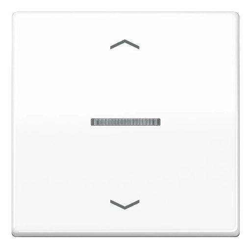 EAN 4011377200364 - JUNG BTAS17101PWW interruptor de luz Termoplástico Blanco imagen 1