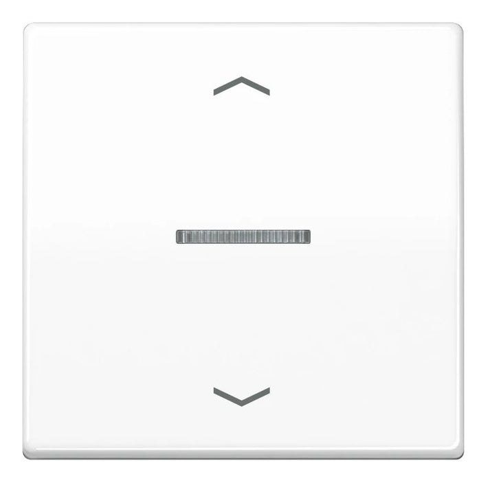 EAN 4011377200364 - JUNG BTAS17101PWW interruptor de luz Termoplástico Blanco imagen 1