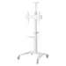 EAN 8059018362176 - Techly ICA-TR48W mueble y soporte para dispositivo multimedia Blanco Panel plano Carro multimedia imagen 5