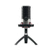 EAN 4025112099908 - CHERRY UM 6.0 ADVANCED Negro, Plata Micrófono de superficie para mesa imagen 1