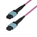 EAN 65030930505 - StarTech.com OS2MTP12AOFNP10M Cable de fibra óptica e InfiniBand 10 m MPO/MTP Violeta imagen 1