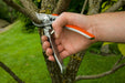 EAN 4078500870207 - Gardena Premium BP 50 tijeras de podar Evitar Negro, Naranja imagen 3