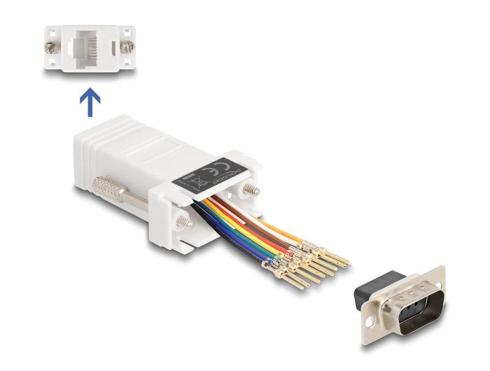 EAN 4043619671021 - DeLOCK 67102 tarjeta y adaptador de interfaz RJ-45 imagen 1