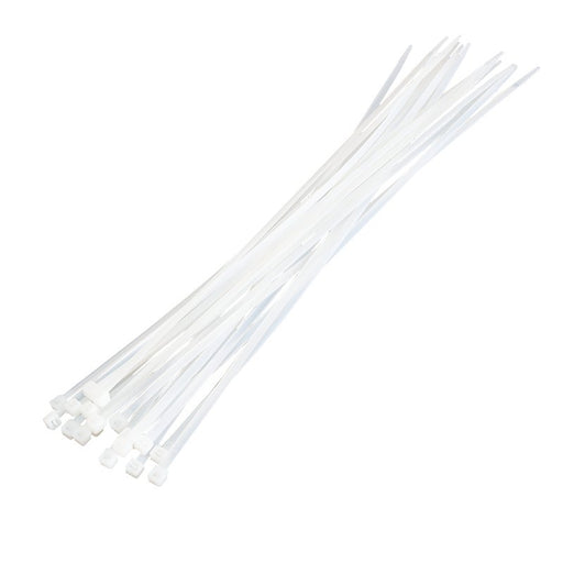 EAN 4052792030570 - LogiLink KAB0040 presilla Nylon Transparente 100 pieza(s) imagen 1