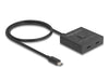 EAN 4043619189113 - DeLOCK 18911 hub de interfaz USB 3.2 Gen 2 (3.1 Gen 2) Type-C 10000 Mbit/s Negro imagen 1
