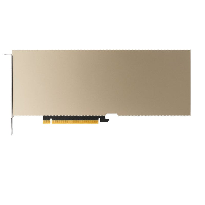 EAN 3536403382490 - PNY A10 NVIDIA 24 GB GDDR6 imagen 2