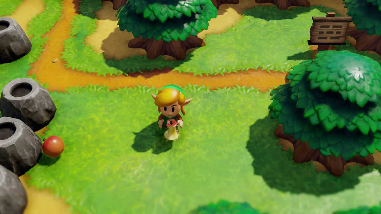 EAN 45496424435 - Nintendo The Legend of Zelda: Link's Awakening Estándar Nintendo Switch imagen 5