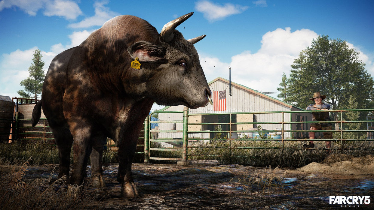 EAN 3307216134886 - Ubisoft Double Pack : Far Cry 4 + Far Cry 5 imagen 4