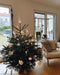 EAN 4011972760300 - Krinner 76030 adorno navideño Adorno para árbol de navidad Vidrio Transparente 1 pieza(s) imagen 4