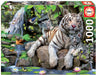 EAN 8412668148086 - Educa 14808 puzzle 1000 pieza(s) imagen 1