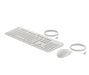 EAN 198701753810 - HP 225 Wired Mouse and Keyboard Combo G2 Cashmere White teclado Ratón incluido Oficina USB Blanco imagen 6