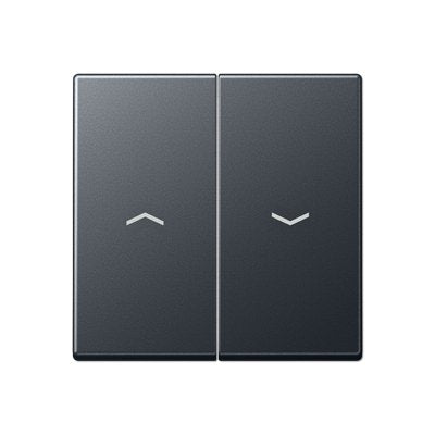 EAN 4011377128187 - JUNG A 595 BF P ANM Negro imagen 1