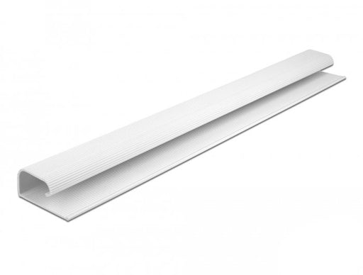 EAN 4043619208845 - DeLOCK 20884 organizador de cables Escritorio Panel guíacables 2 pieza(s) imagen 1