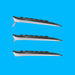 EAN 5099206077461 - Logitech 920-008685 teclado Ratón incluido Universal RF inalámbrico QWERTY Internacional de EE.UU. Negro imagen 9