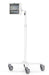 EAN 0810157341945 - Compulocks MCRSTDEXW13PAPX4W soporte de seguridad para tabletas Blanco 33 cm (13") imagen 2