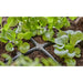 EAN 4078500058995 - Gardena 13214-20 accesorio para manguera Conector de manguera Plástico Negro 10 pieza(s) imagen 4