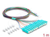 EAN 4043619910489 - DeLOCK 91048 Cable de fibra óptica e InfiniBand 1 m 12x SC Pigtail Azul imagen 1