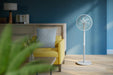 EAN 8720389036842 - Philips 2000 series CX2550/00 ventilador Gris imagen 8