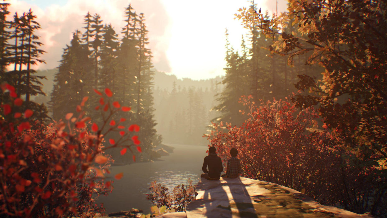 EAN 5021290086111 - Square Enix Life is Strange 2 Estándar PlayStation 4 imagen 6