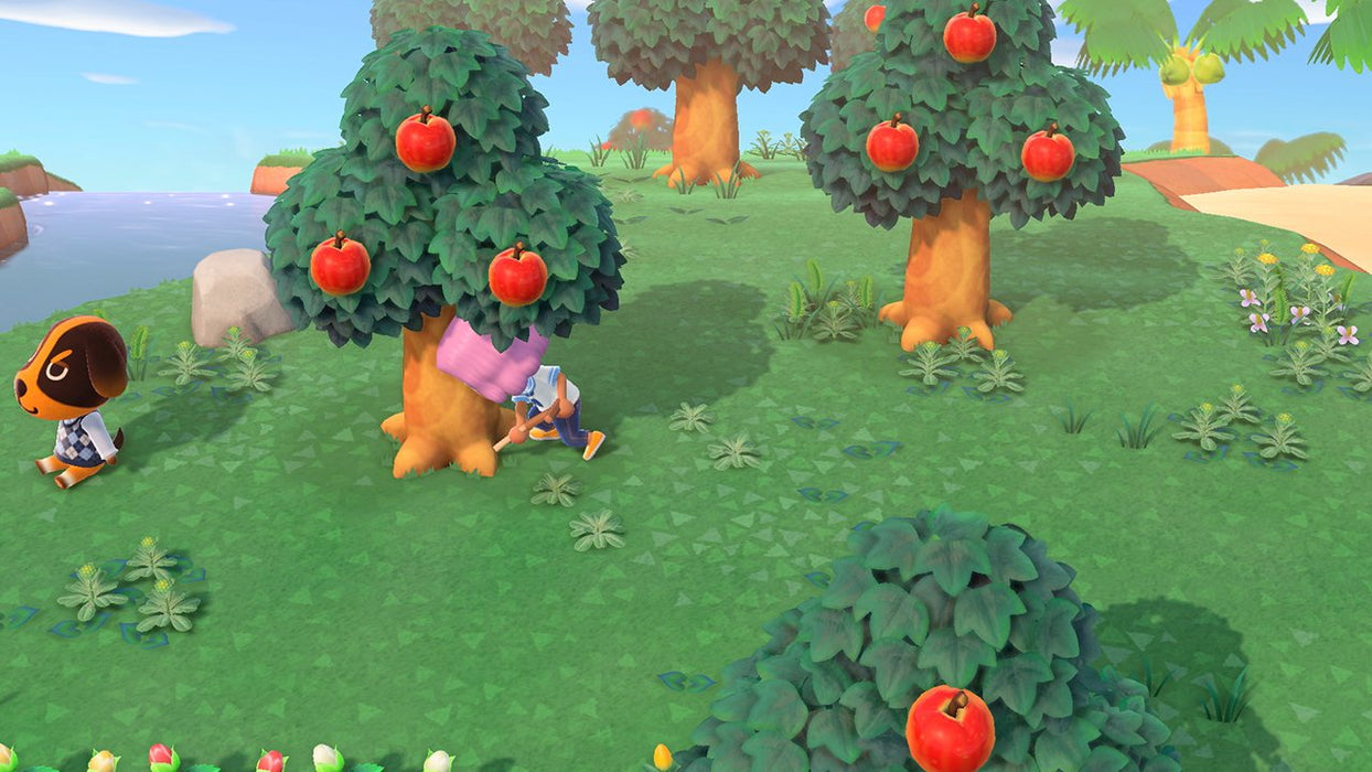 EAN 0045496425432 - Nintendo Animal Crossing: New Horizons Estándar Alemán, Inglés Nintendo Switch imagen 14
