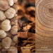 EAN 5038581184326 - WoodWick Iris Woods vela Elipse Madera Marrón 1 pieza(s) imagen 3