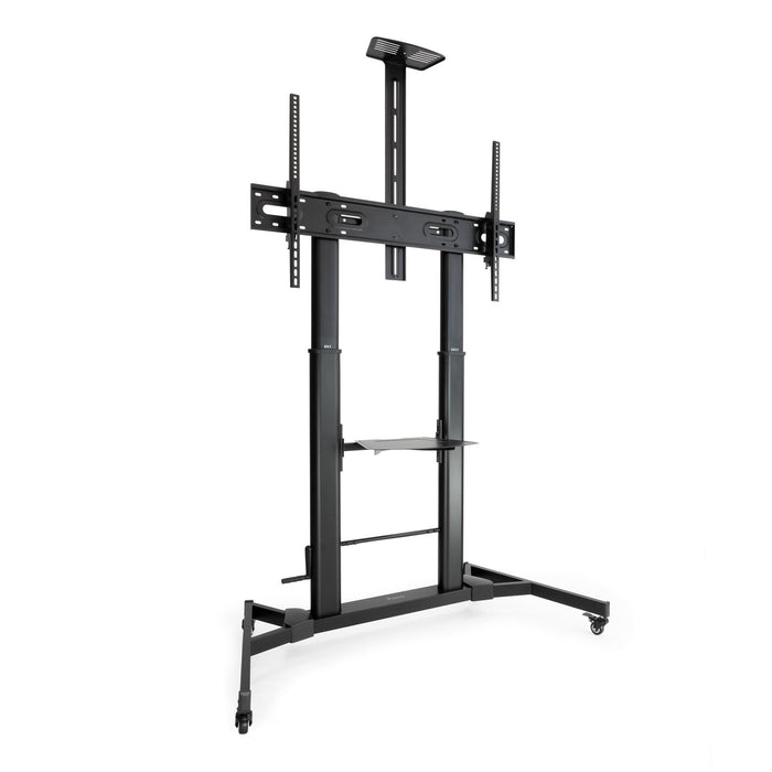 EAN 8433281012233 - TooQ ZEUS 2,54 m (100") Negro imagen 1