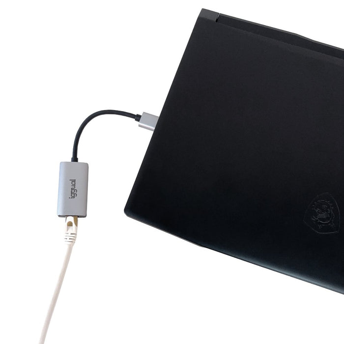 EAN 8435364318447 - iggual IGG318447 adaptador y tarjeta de red Ethernet 1000 Mbit/s imagen 2