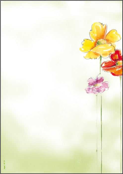 EAN 4004360841170 - Sigel DP123 papel decorativo 50 hojas imagen 1