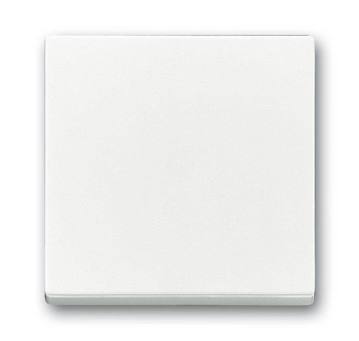EAN 4011395995839 - Busch-Jaeger 1751-0-2749 protector contra el polvo Blanco imagen 1