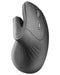 EAN 8435693103950 - Mars Gaming MMW-ERGOPRO ratón Juego mano derecha RF inalámbrico imagen 1