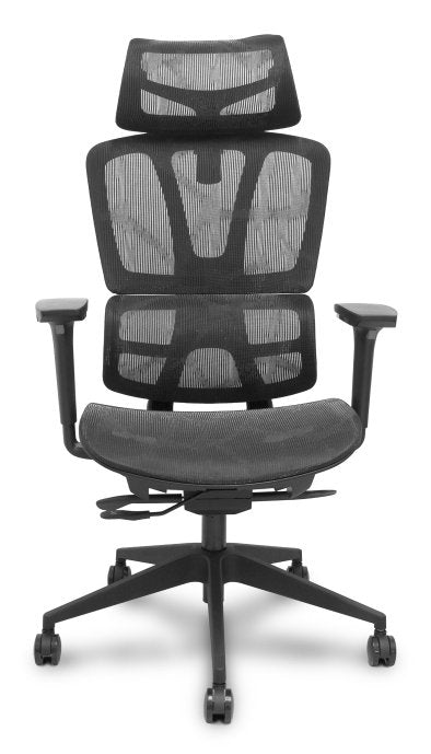 EAN 8435501019626 - PIQUERAS Y CRESPO Pro537 Asiento acolchado Respaldo de malla imagen 1