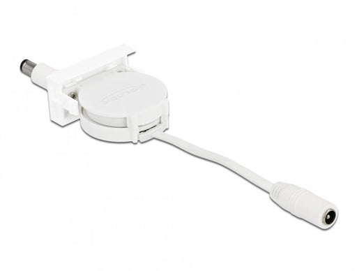 EAN 4043619813773 - DeLOCK 81377 cable de transmisión 0,62 m 5.5 x 2.1 mm imagen 1