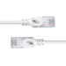 EAN 4002888475839 - Lindy 47583 cable de red Gris 1,5 m Cat6a U/UTP (UTP) imagen 5