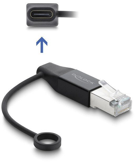 EAN 4043619611010 - DeLOCK 61101 cambiador de género para cable 1 x USB Type-C 1 x RJ45 Antracita imagen 1