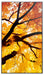 EAN 5715328282667 - Sharp MultiSync M552 Pantalla plana para señalización digital 139,7 cm (55") LCD 550 cd / m² 4K Ultra HD  imagen 3