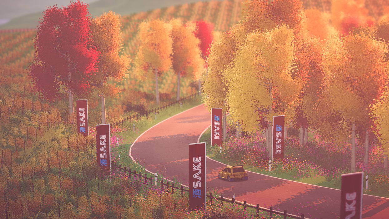EAN 8437020062978 - Ecoplay Art of Rally Deluxe Edition (PS4) De lujo Plurilingüe PlayStation 5 imagen 10