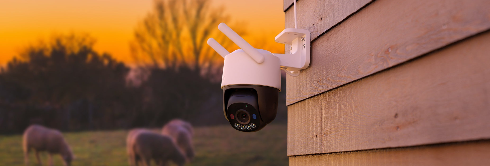 EAN 6976391034235 - Imou Cruiser SC 4G 3MP Esférico Cámara de seguridad IP Exterior 2304 x 1296 Pixeles Techo/pared imagen 5
