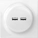 EAN 5902701701703 - Fibaro Walli N toma de corriente 2x USB Blanco imagen 1