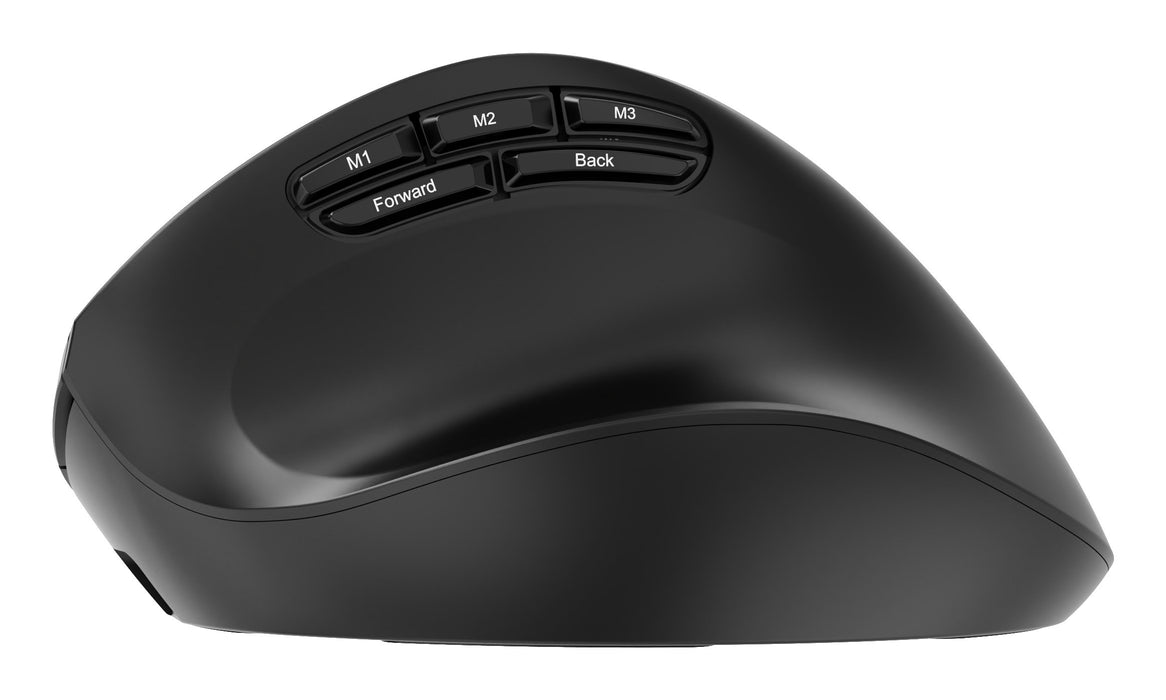 EAN 8716309136914 - Gembird MUSW3-9B-01 ratón Oficina mano derecha RF Wireless + Bluetooth + USB Type-A Óptico 2400 DPI imagen 8