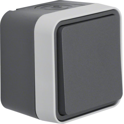 EAN 4011334394891 - Berker 30763505 interruptor de luz Gris imagen 1