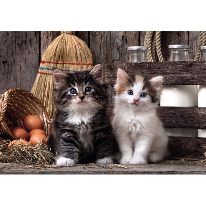EAN 8005125399437 - Clementoni High Quality Collection 39943 puzzle Puzzle rompecabezas 1000 pieza(s) Animales imagen 2