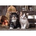 EAN 8005125399437 - Clementoni High Quality Collection 39943 puzzle Puzzle rompecabezas 1000 pieza(s) Animales imagen 2