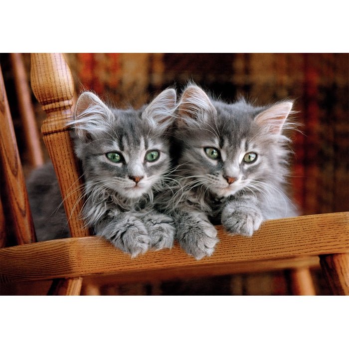 EAN 8005125355808 - Clementoni High Quality Collection 35580 puzzle Puzzle rompecabezas 500 pieza(s) Animales imagen 2