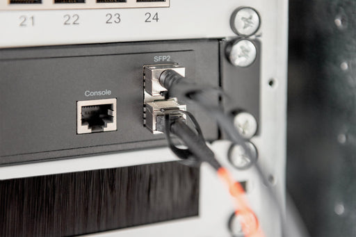 EAN 4016032445937 - Digitus DN-81220 Cable de fibra óptica e InfiniBand SFP+ Negro imagen 2