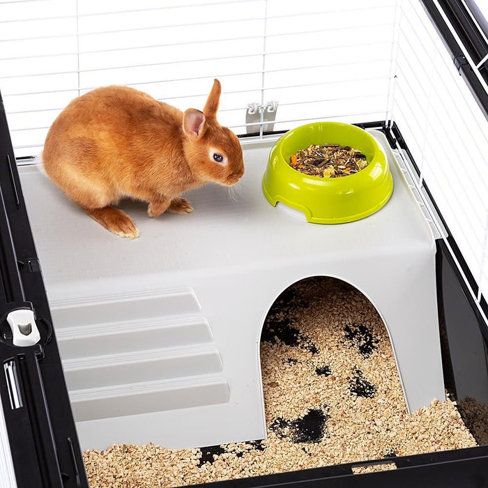 EAN 8010690092553 - Ferplast Casita 100 Rabit Gris pardo, Blanco imagen 5