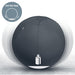 EAN 4002432134779 - Leitz Active Sitzball 65cm pelota de ejercicios Gris De tamaño completo imagen 2